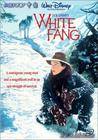 White_Fang_白牙